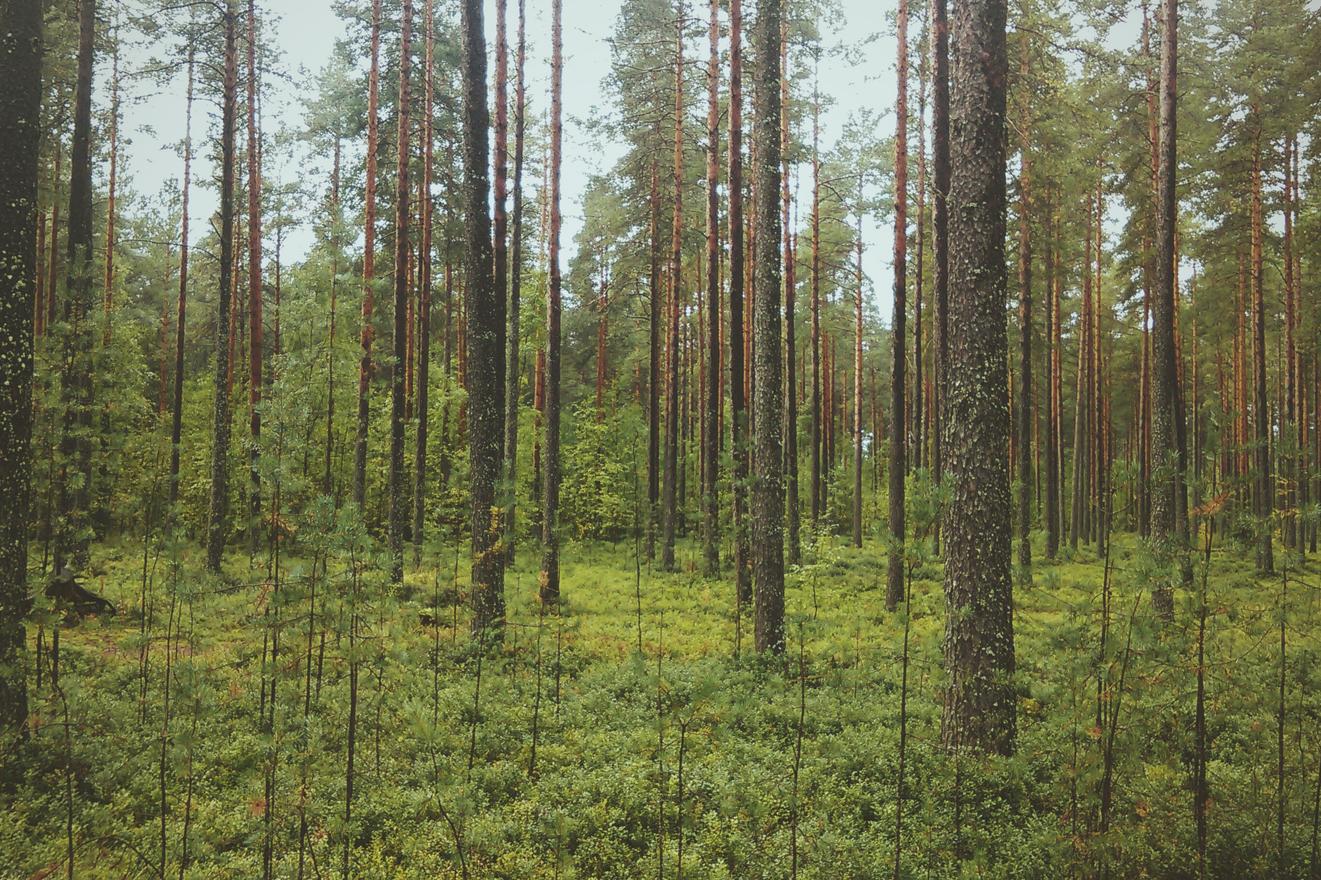 Mollitia qui est rerum commodi 1 Tempore repellendus voluptatum beatae eius odit occaecati officia