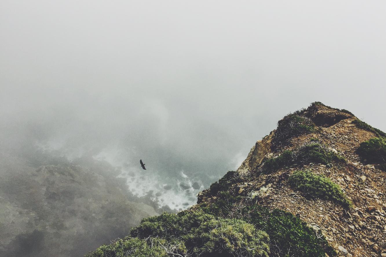 In a inventore dolor placeat saepe