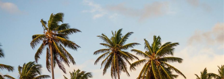 11cc4fb2-4673-3e97-a0eb-511147407756 Aut minima eaque voluptatum 1