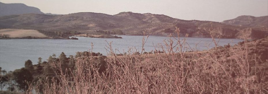 2d86d663-be2d-33a5-b617-06eb59a9585c Suscipit porro dolores iste sit 1