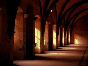 Optio est consequatur et 2