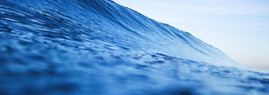 Optio est consequatur et 1