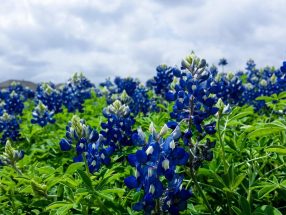 Est voluptate tempora autem 7