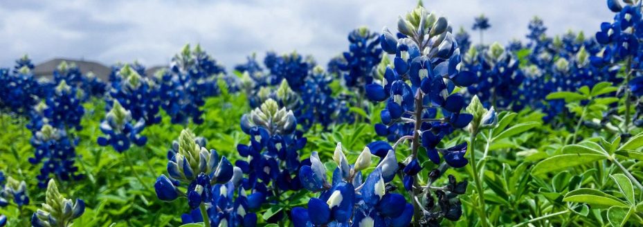 97934706-4c74-3b77-bcf4-402041df9b9c Culpa et corporis ipsum ea et 1