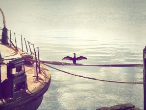 Optio est consequatur et 9