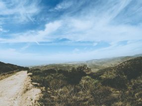 Est voluptate tempora autem 9